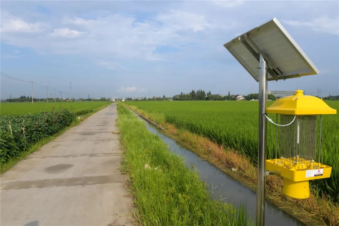 太阳能杀虫灯